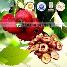 Maslinic Acid Hawthorn Leaf Extract